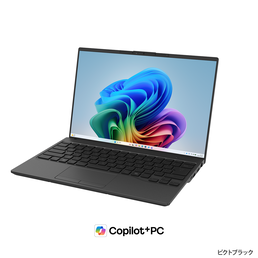 ピクトブラック