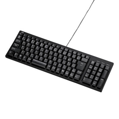 コンパクトキーボード（テンキー付き・ブラック） SKB-KG2BKN2