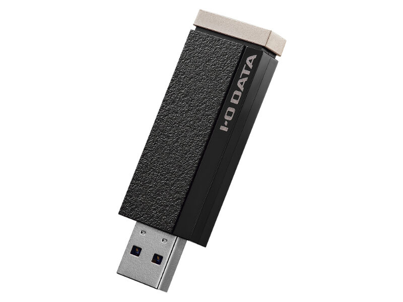 24時間連続録画/4K対応 録画用スティックSSD 2TB AVSSD-RS2