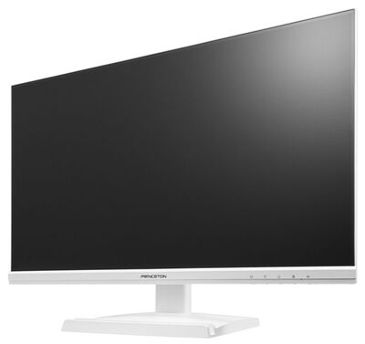 100Hz ADSパネル採用 23.8型ワイドカラー液晶ディスプレイ/1920×1080/D-Sub、HDMI/ホワイト/スピーカー：あり PTF-B241W-WH
