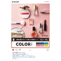 撮影用背景シート/COLOR/A3/6枚入 DGA-BPA303