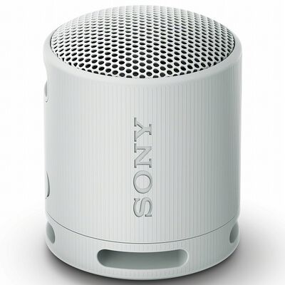 ワイヤレスポータブルスピーカー XB100 ライトグレー SRS-XB100/H