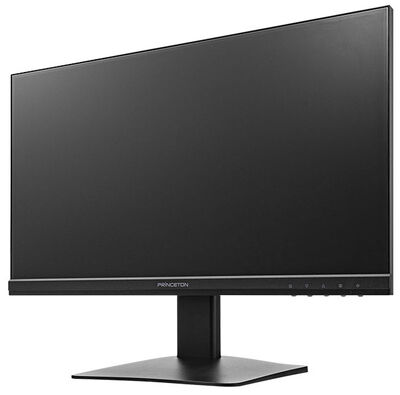 21.5型ワイドカラー液晶/1920×1080/HDMI、D-Sub、DisplayPort/ブラック/スピーカー/広視野角ADSパネル採用 PTFBLG-22W