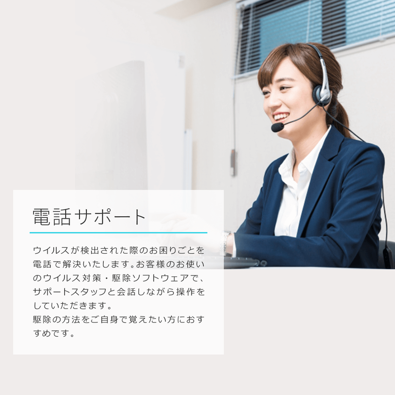 【１年間延長用】ウイルス駆除保証サービス（年額一括払い)