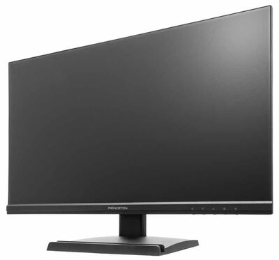 100Hz ADSパネル採用 23.8型ワイドカラー液晶ディスプレイ/1920×1080/D-Sub、HDMI/ブラック/スピーカー：あり PTF-B241W-BK
