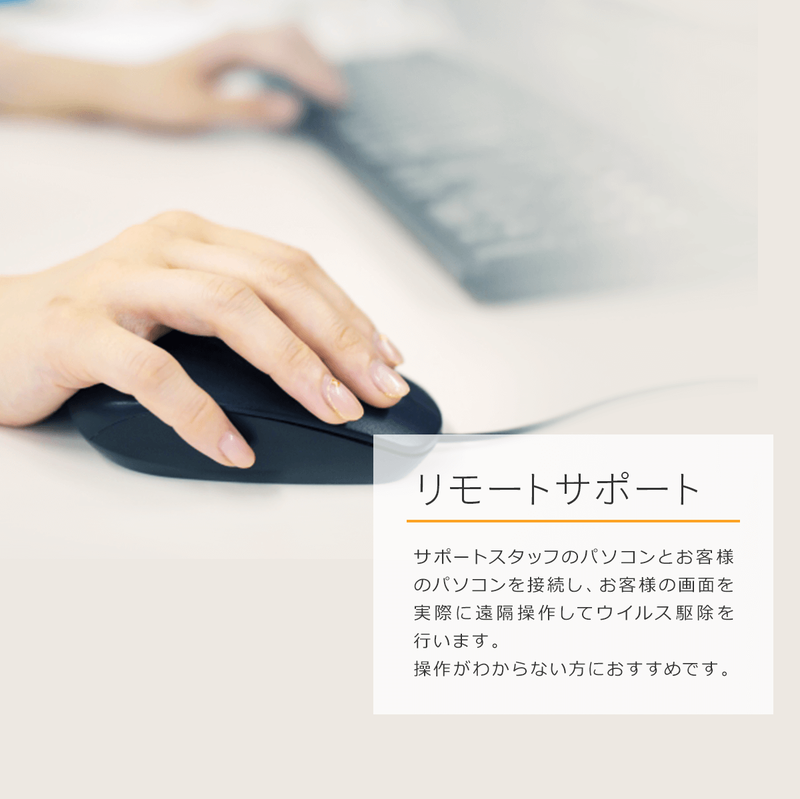 【１年間延長用】ウイルス駆除保証サービス（年額一括払い)
