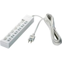 2ピン式電源タップ 6個口タイプ 雷サージ防止/個別スイッチ付 2m ホワイト BSTAPSW2620WH