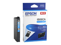 ビジネスインクジェット用 インクカートリッジ（シアン）/標準インク/約300ページ対応 IB09CA