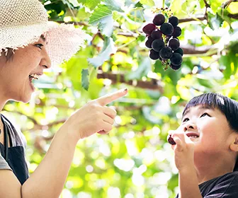 日帰り旅おすすめ特集