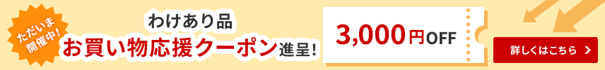 ただいま開催中！お買い物応援クーポン贈呈