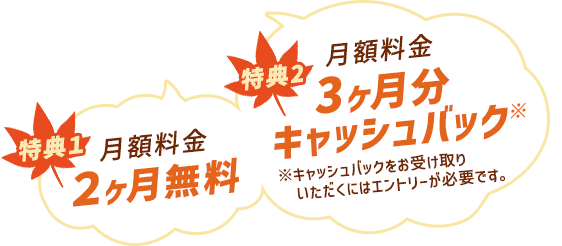 特典1 月額料金2ヶ月無料 特典2 月額料金3ヶ月分キャッシュバック