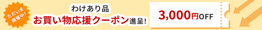 ただいま開催中！お買い物応援クーポン贈呈