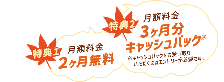 特典1 月額料金2ヶ月無料 特典2 月額料金3ヶ月分キャッシュバック