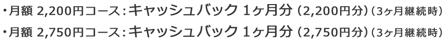 ・月額2,200円コース：キャッシュバック1ヶ月分(2,200円分)(3ヶ月継続) ・月額2,750円コース：キャッシュバック1ヶ月分(2,750円分)(3ヶ月継続時)