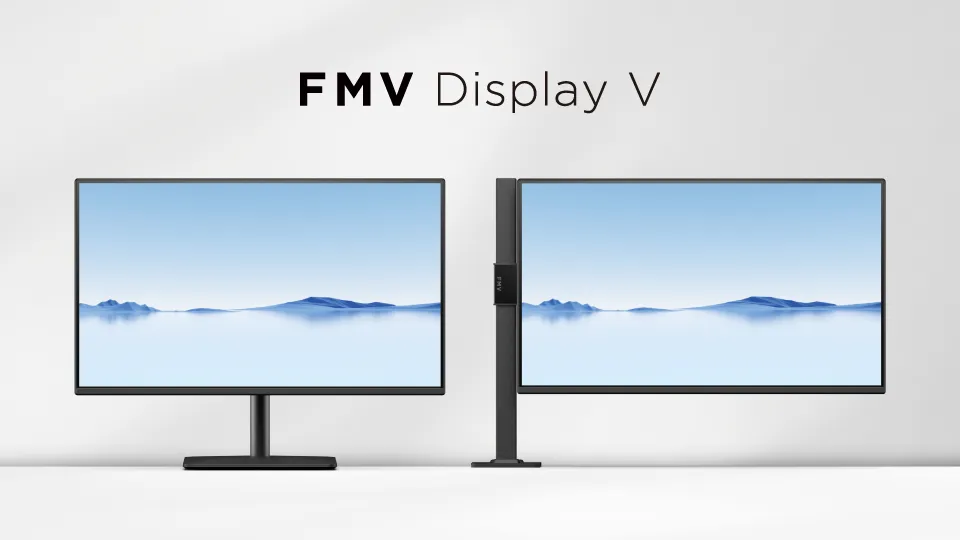 FMV Accessory Display V