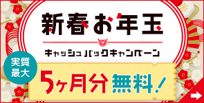 新春お年玉キャッシュバックキャンペーン 対象：月額版の各コース 実質最大5ヶ月分無料！