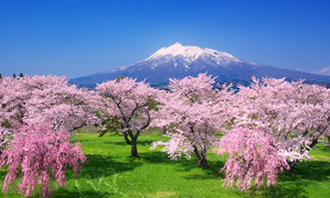 5月のカレンダー壁紙「熊本県　阿蘇の牧場」など、「5月のカレンダー壁紙」（2枚）、「春の風景壁紙」（3枚）を公開！