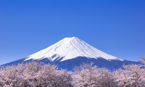 「山梨県　桜と富士山」など、春の風景壁紙を公開！