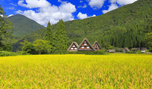 「岐阜県　イネの実る白川郷」など、秋の風景壁紙を公開！
