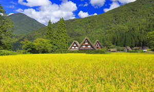 「岐阜県　イネの実る白川郷」など、秋の風景壁紙を公開！