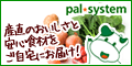 palsystem
